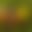 blur placeholder