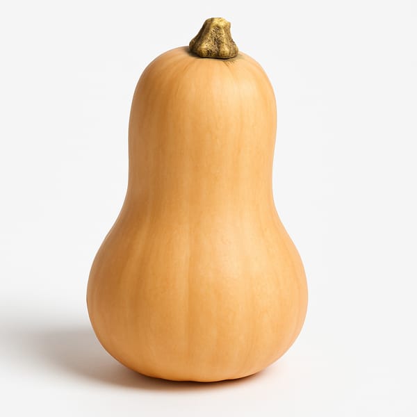 Courge butternut