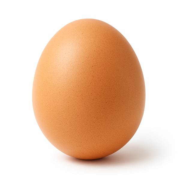 Œuf
