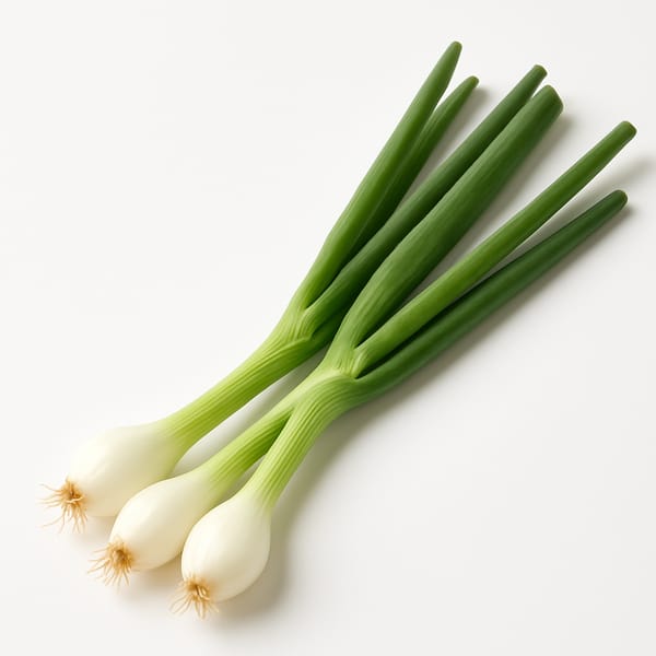 Oignons nouveaux