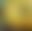 blur placeholder