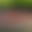 blur placeholder