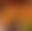 blur placeholder