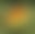 blur placeholder