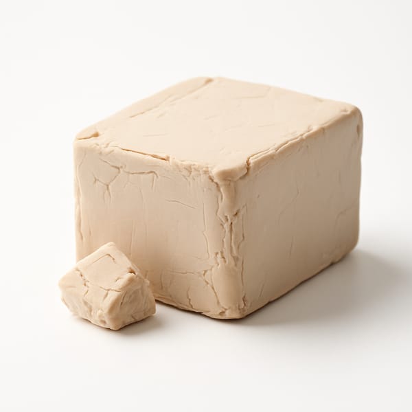 Levure fraiche