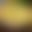 blur placeholder