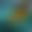 blur placeholder