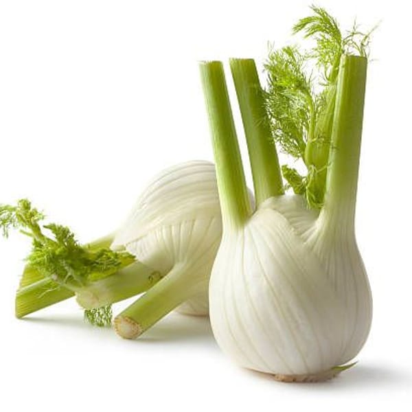 Fenouil