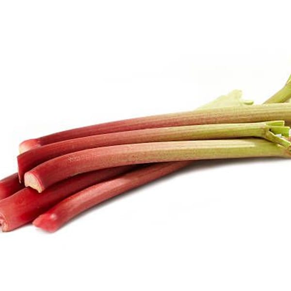 Rhubarbe