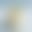 blur placeholder