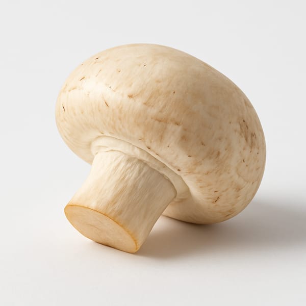 Champignon de Paris