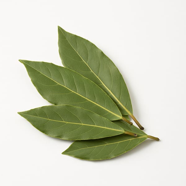 Feuilles de laurier