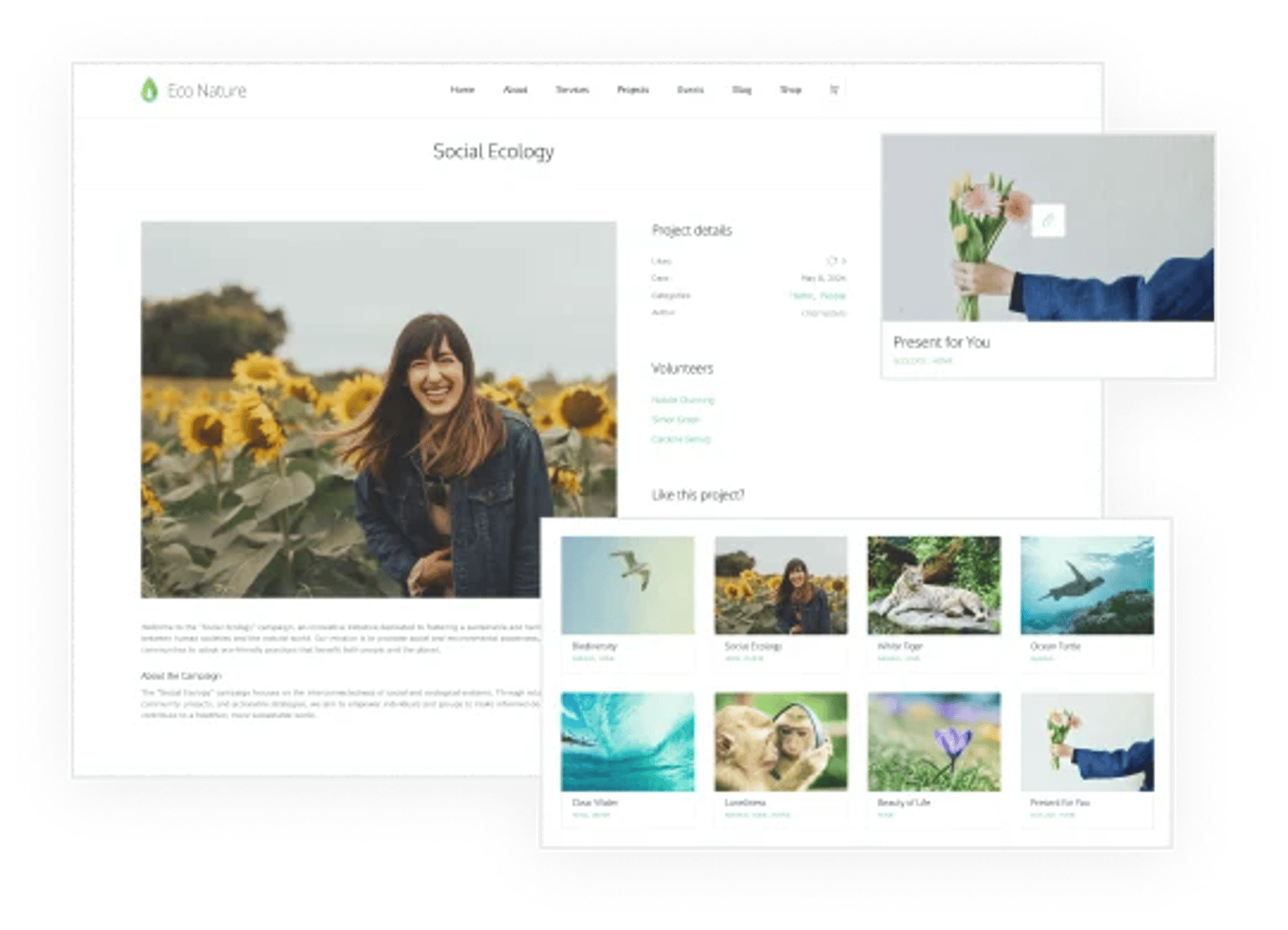 Eco Nature - Environment & Ecology WordPress Theme - Projects Post Type | CMSMasters studio