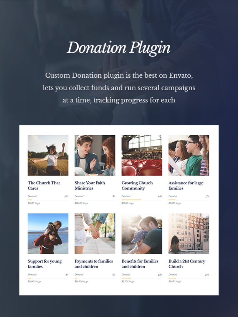 Salvation - Church & Religion WP Theme - Donations Plugin