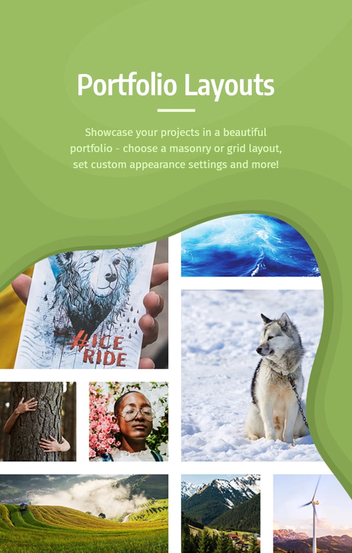 Ecologie - Environmental NGO & Ecology WordPress Theme - Portfolio Layouts | cmsmasters studio