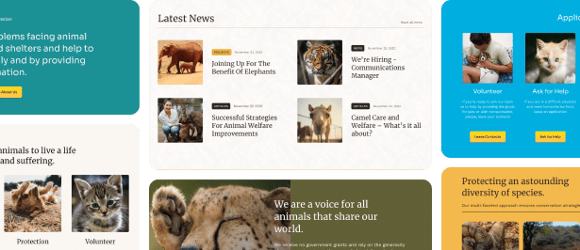 Animal Rescue - Shelter Charity WordPress Theme - Useful Blocks | Cmsmasters studio