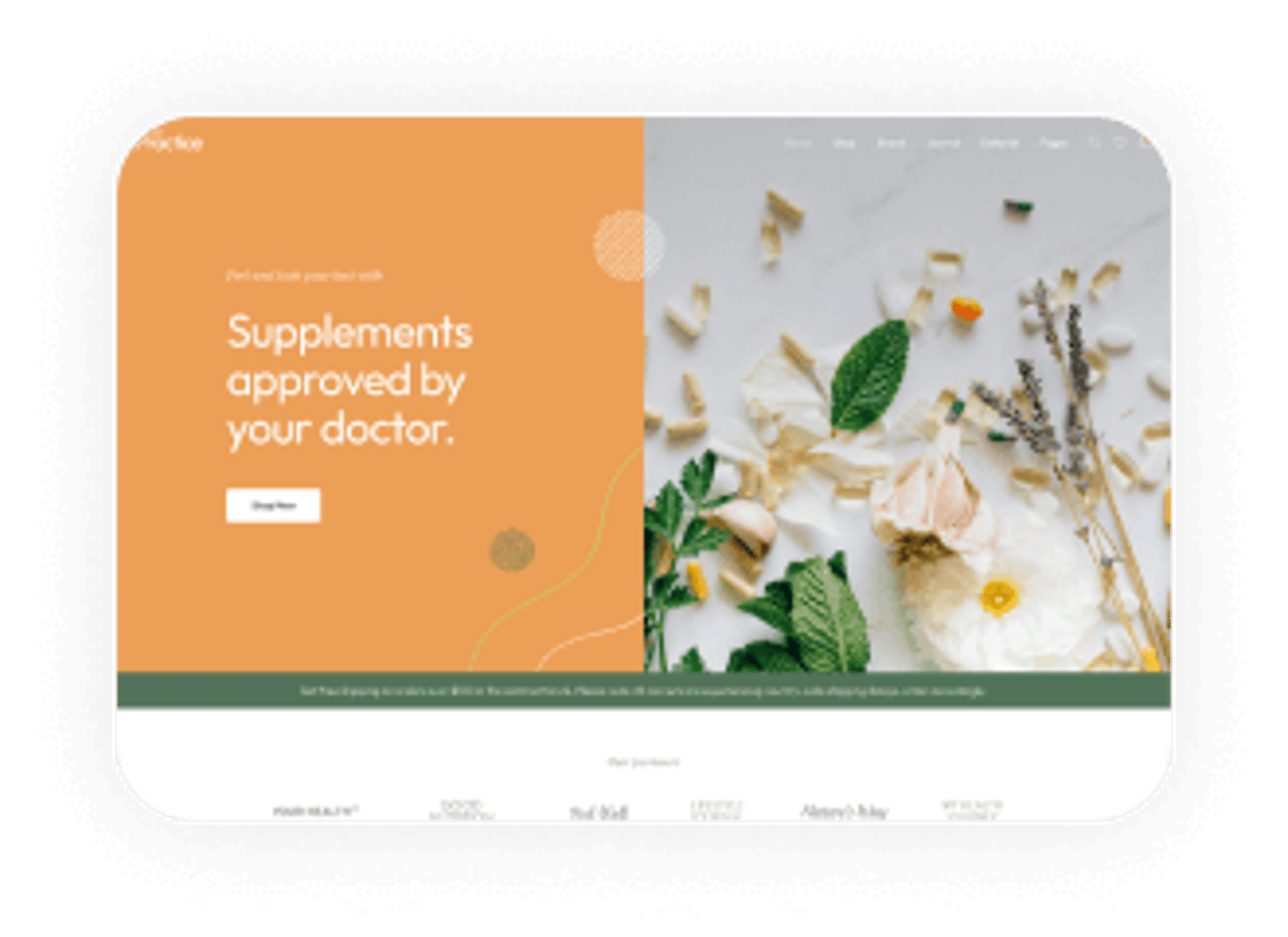 The Practitioner WordPress Theme - Supplement Store Demo