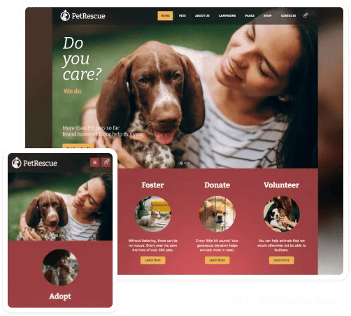 Pet Rescue - Animals and Shelter Charity WP Theme - Homepage 1 | CMSMasters studio