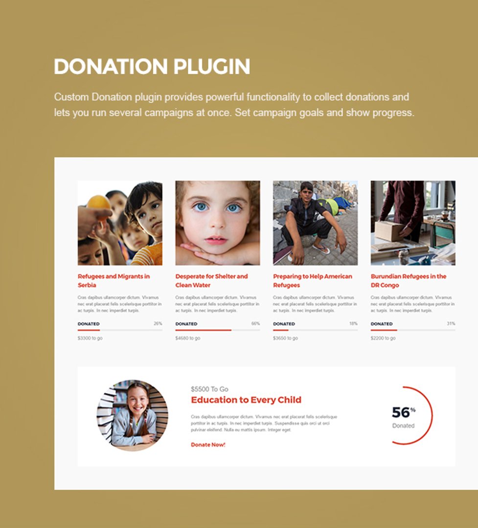 Charity NGO - Donation & Nonprofit Organization WordPress Theme - Donation Plugin