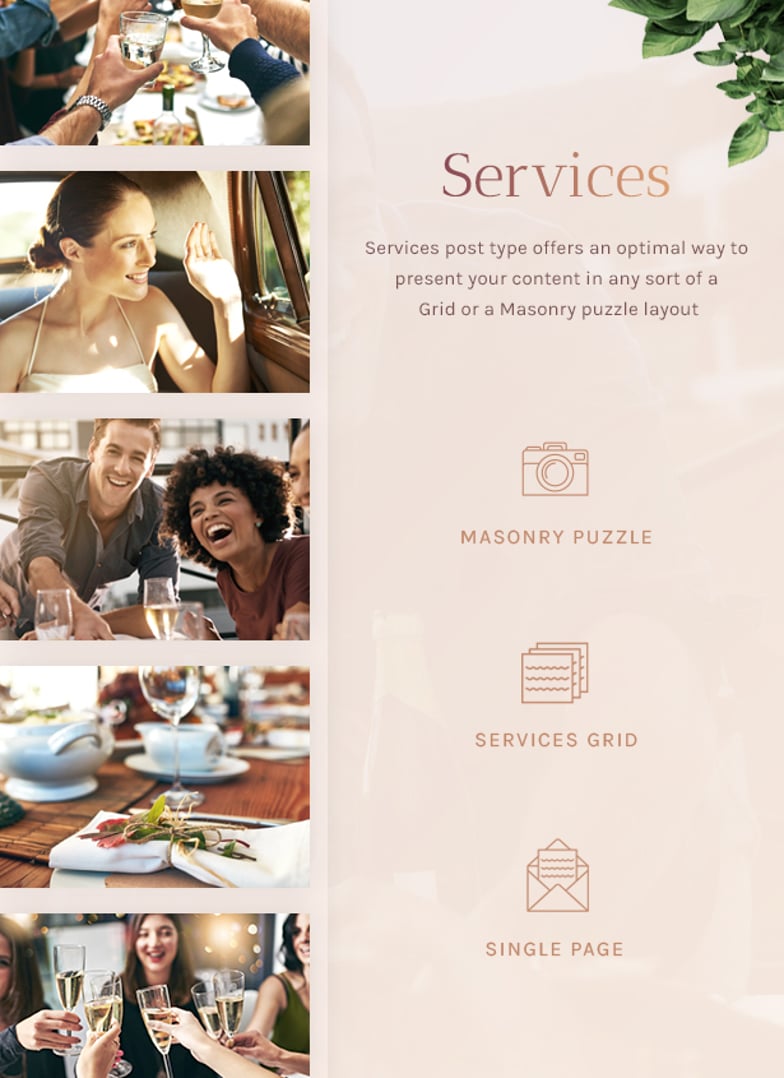 Amigos - Party & Celebration Event Agency - Services | Cmsmasters studio