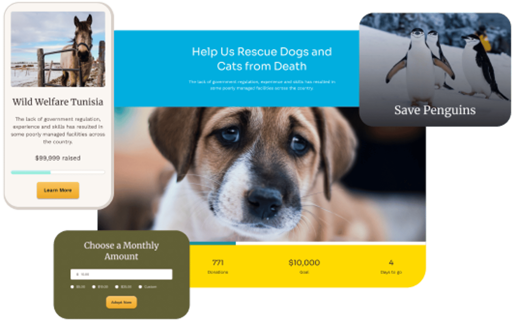 Animal Rescue - Shelter Charity WordPress Theme - Fundraising Campaigns | Cmsmasters studio