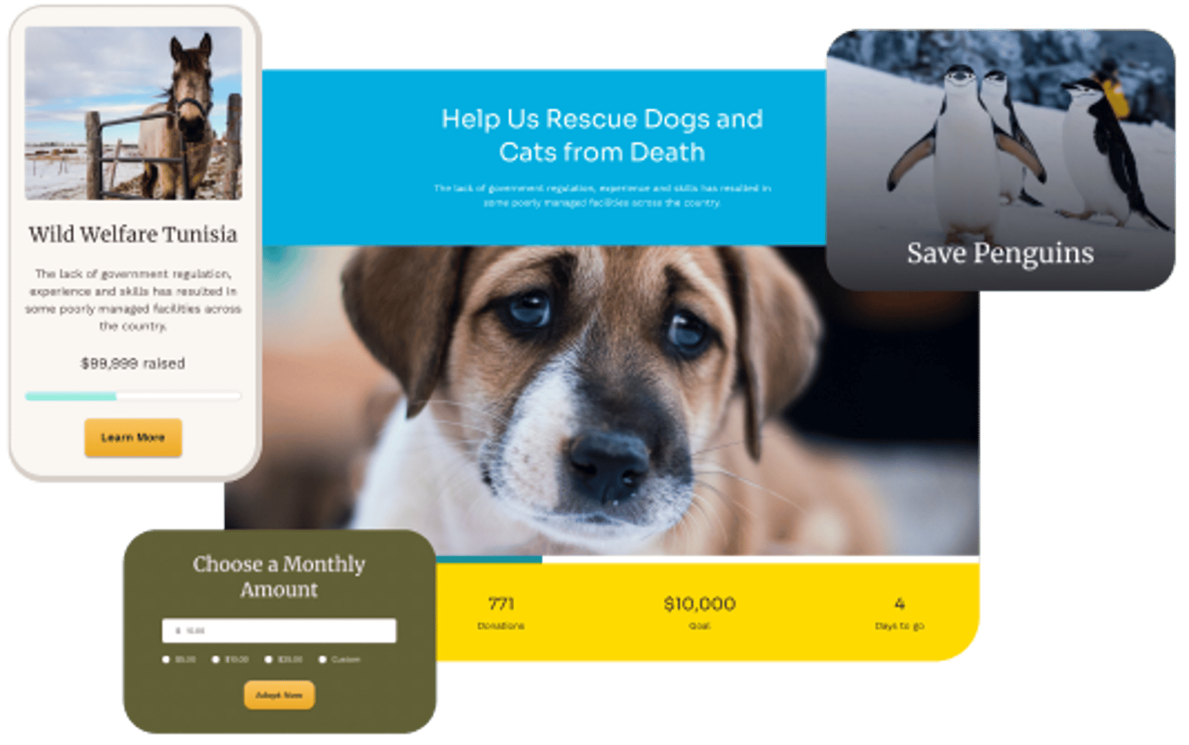 Animal Rescue - Shelter Charity WordPress Theme - Fundraising Campaigns | Cmsmasters studio