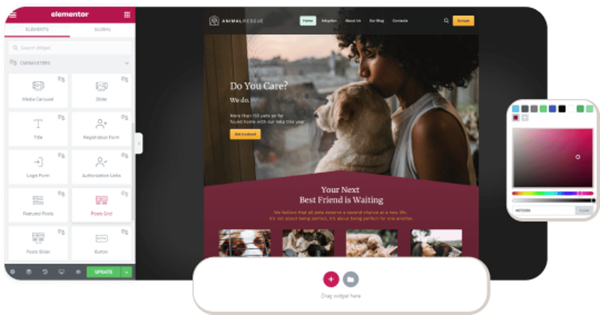 Animal Rescue - Shelter Charity WordPress Theme - Elementor Builder | Cmsmasters studio