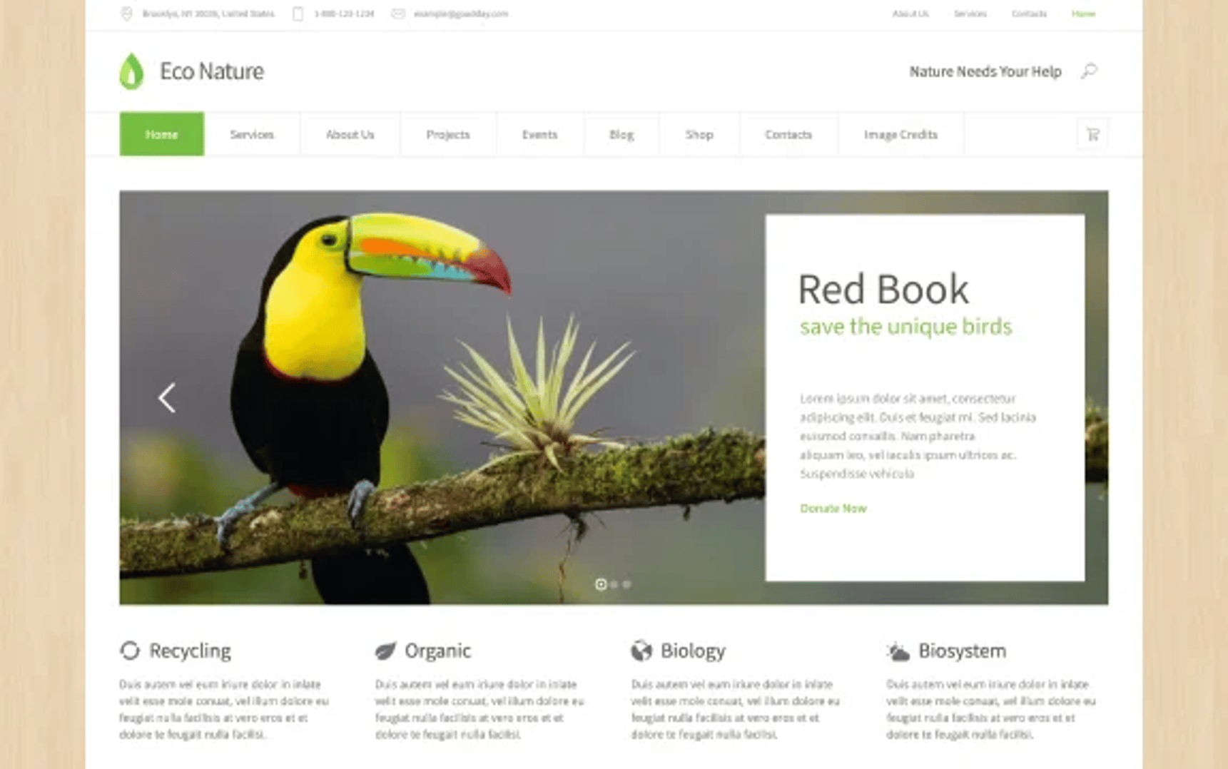 Eco Nature - Environment & Ecology WordPress Theme - Boxed Demo | CMSMasters studio