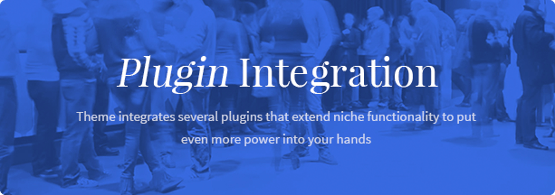 In Conference WordPress Theme - Plugin Integration