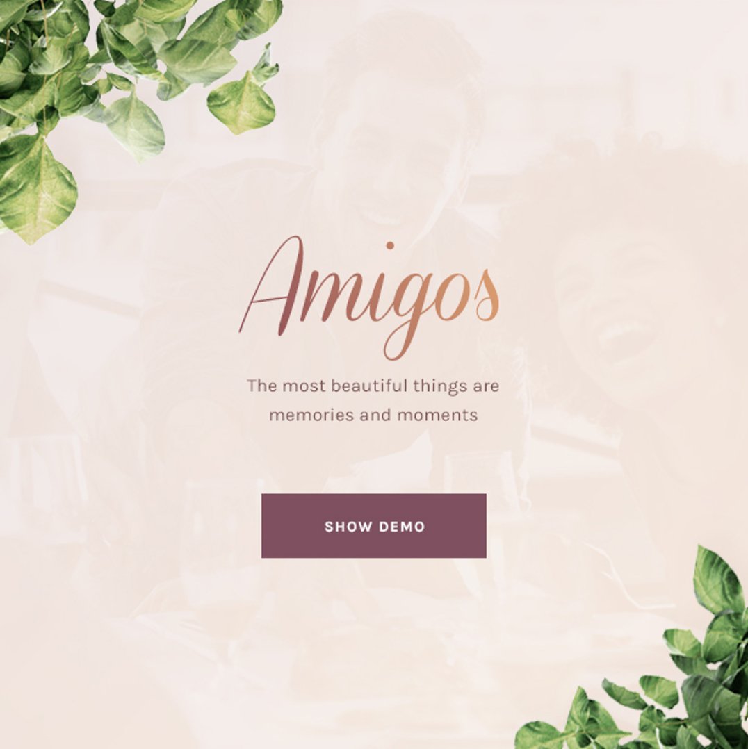 Amigos - Party & Celebration Event Agency - Show Demo | Cmsmasters studio