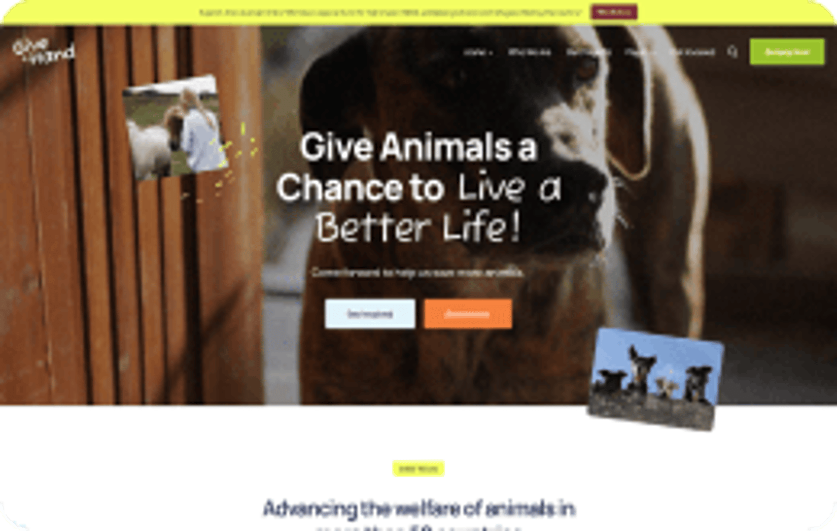 Give - NGO & Charity WordPress Theme - Animal Protection Demo | Cmsmasters studio