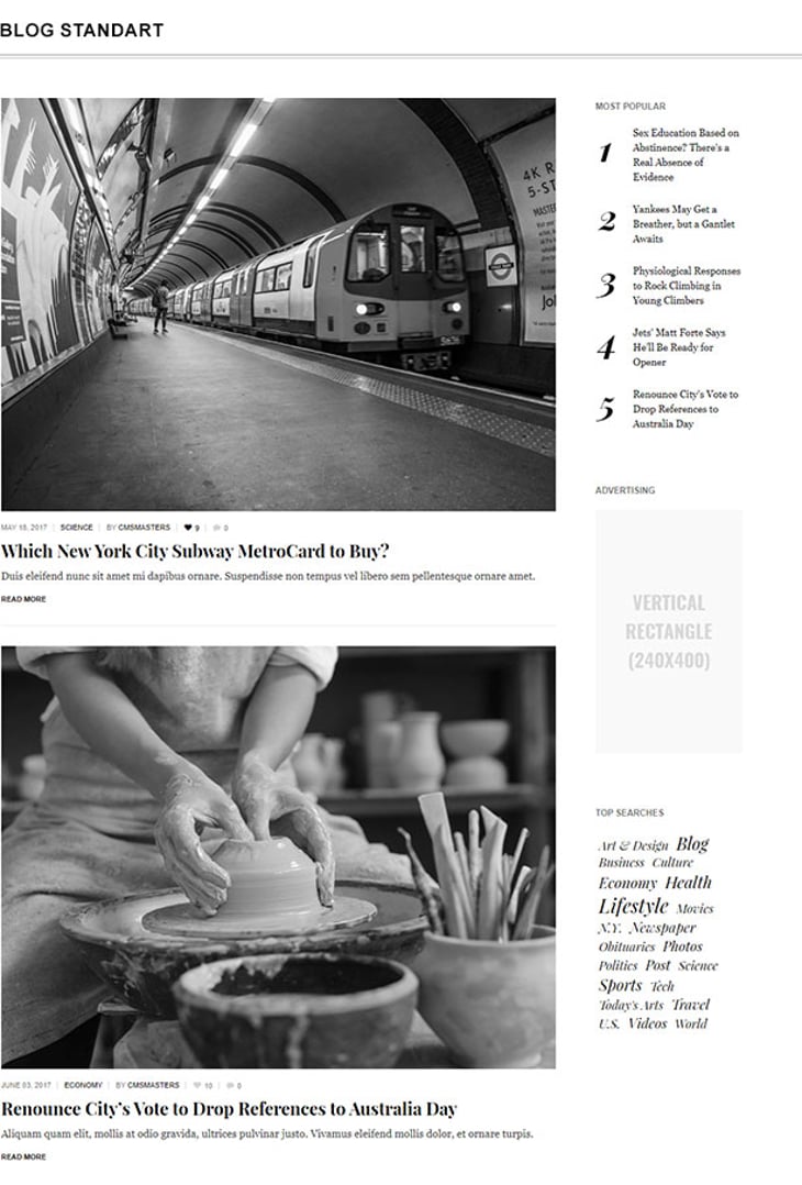 The Newspaper - Magazine Editorial WordPress Theme - Blog Standard