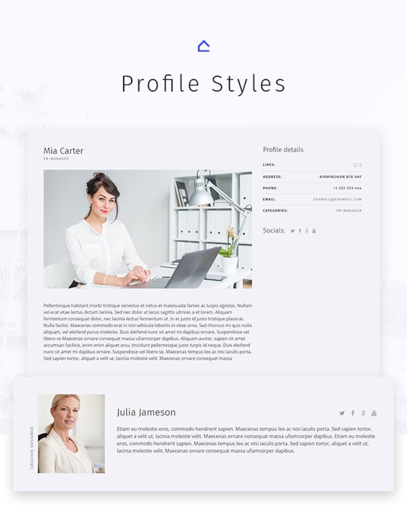 Axel - Single Property Real Estate Theme - Profile Styles