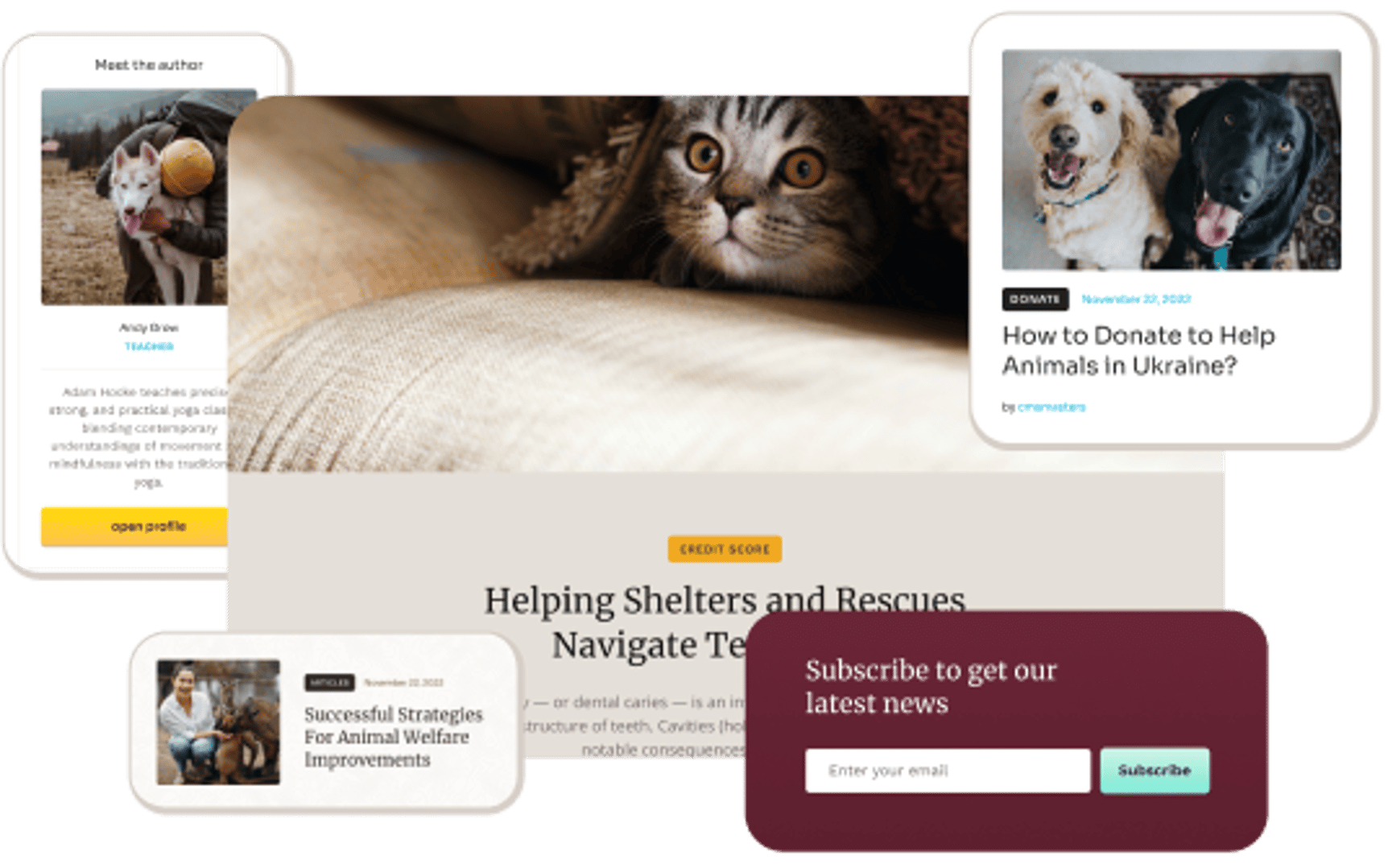 Animal Rescue - Shelter Charity WordPress Theme - Blog Posts Layouts | Cmsmasters studio