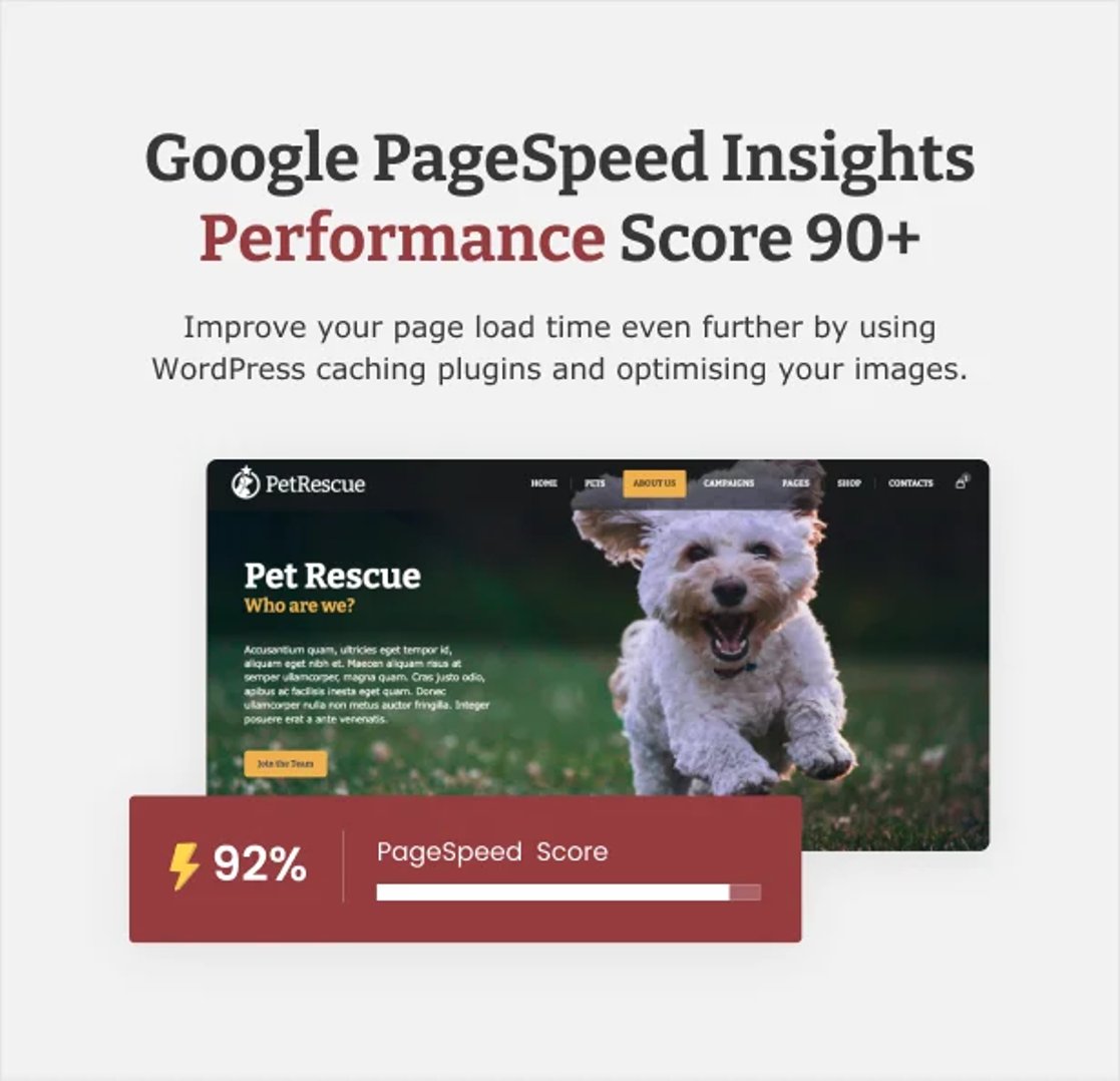 Pet Rescue - Animals and Shelter Charity WP Theme - Performance Score 90+ | CMSMasters studio