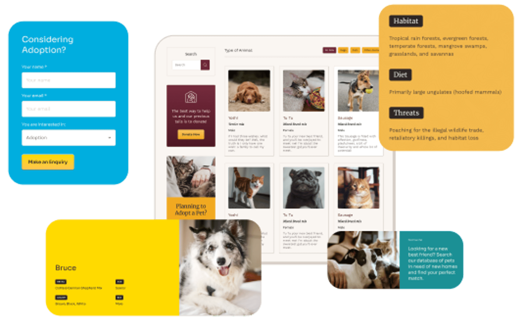 Animal Rescue - Shelter Charity WordPress Theme - Volunteer Profiles | Cmsmasters studio