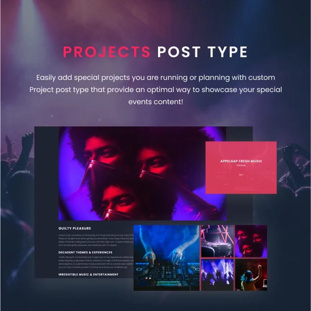 Buzz Club - Night Club, DJ & Music Festival Event WordPress Theme - Projects Post Type