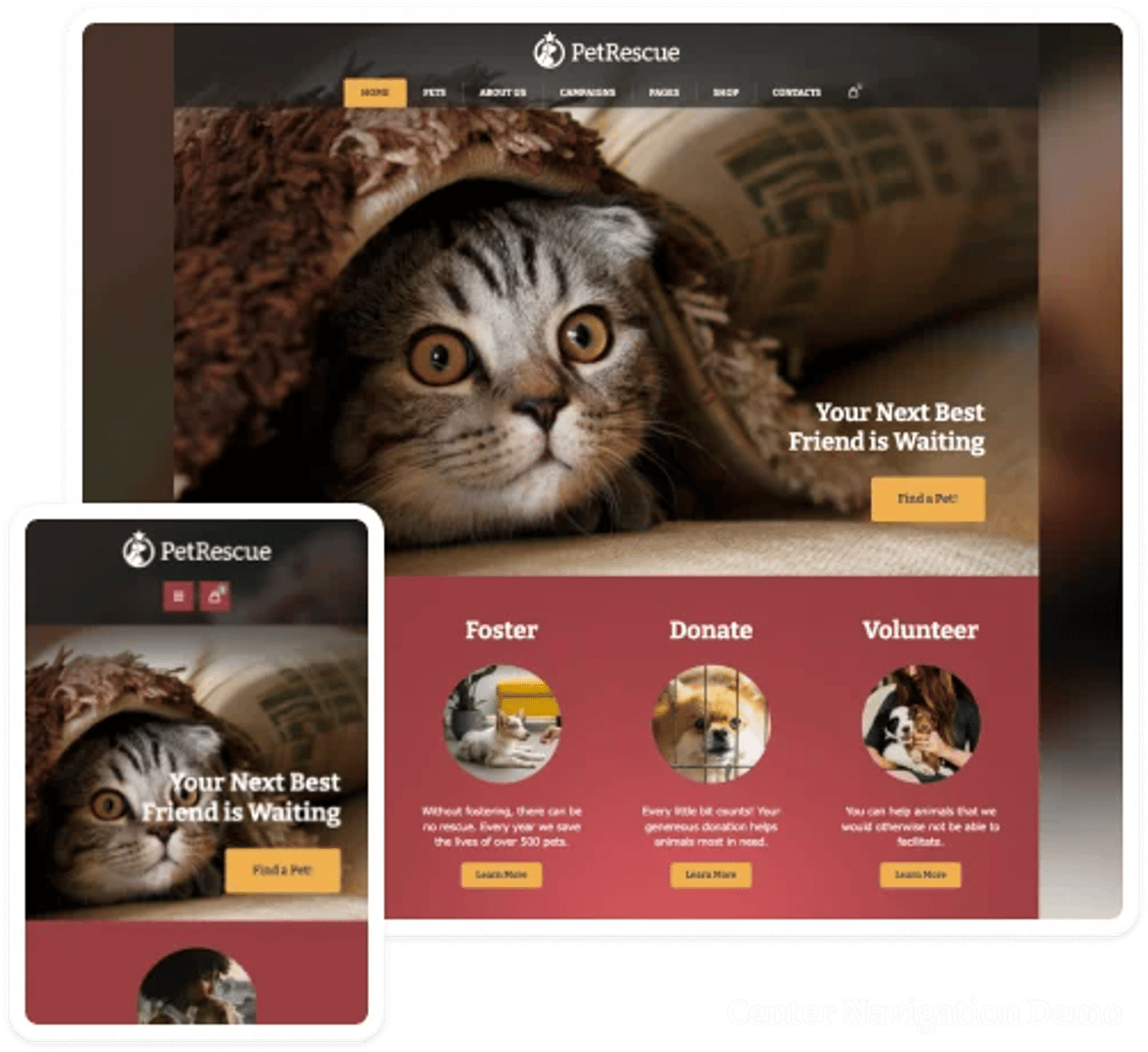 Pet Rescue - Animals and Shelter Charity WP Theme - Homepage 3 | CMSMasters studio