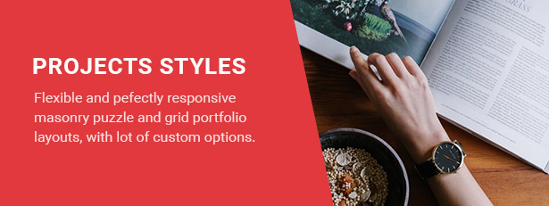 Top Magazine - Blog and News WordPress Theme - Projects Styles