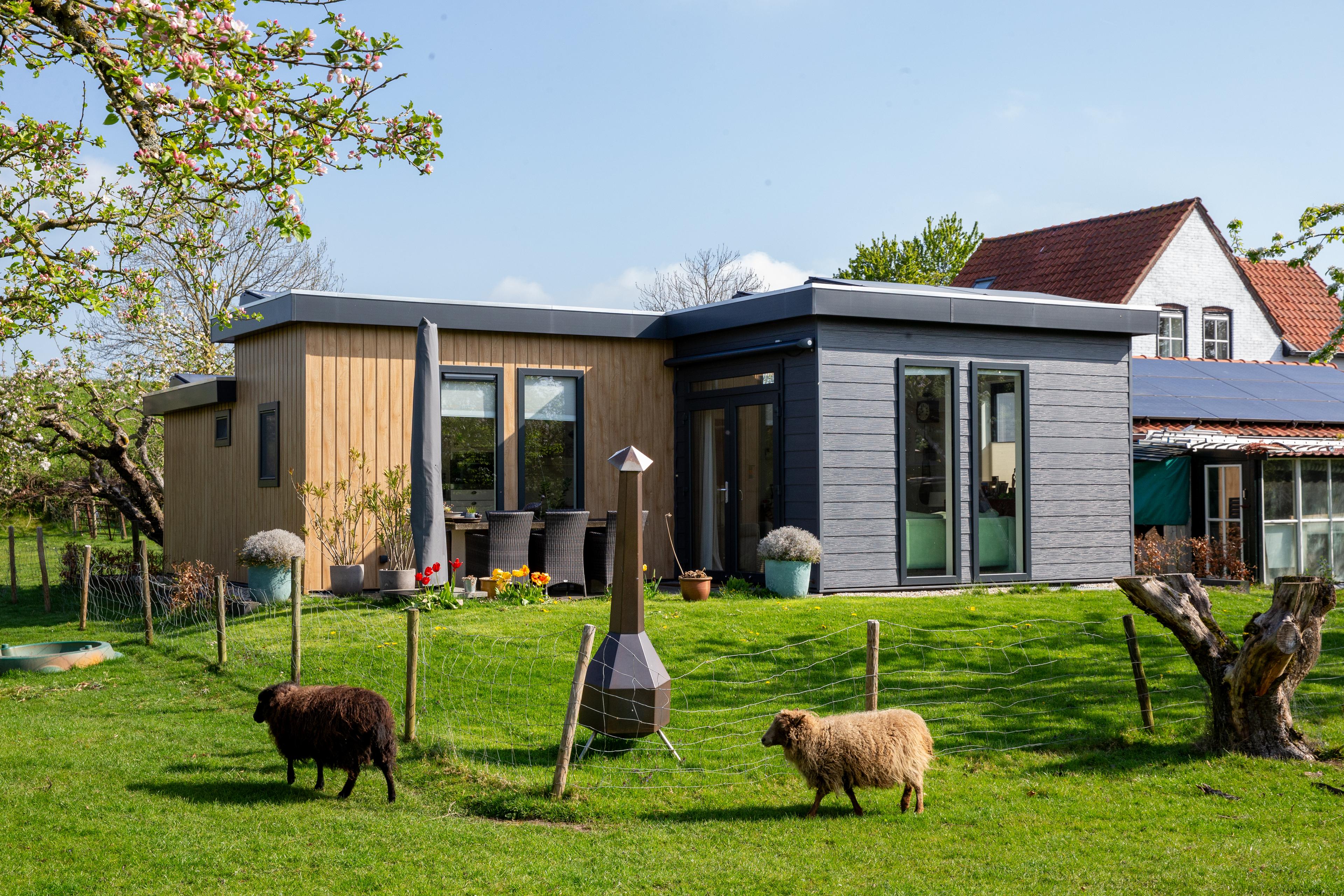 Mantelzorgwoning Model Azalea - achtertuin met schapen