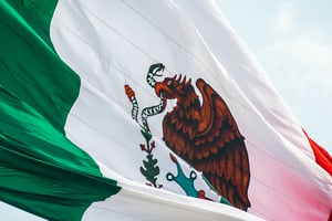 墨西哥 flag of Mexico
