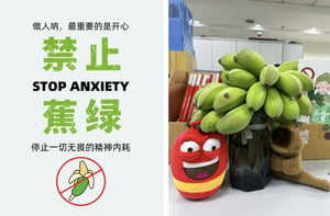 中國年輕人流行辦公室「種香蕉」？期盼遠離焦慮