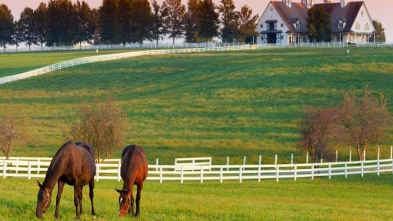 kentucky metal buildings
