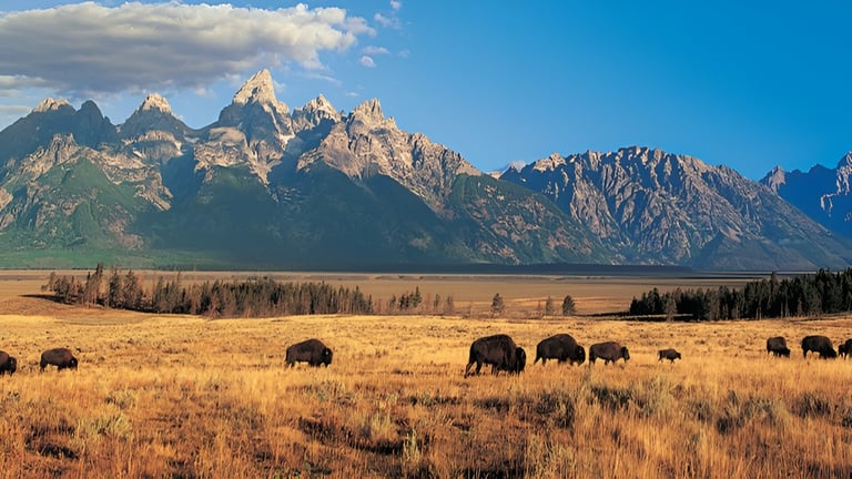 wyoming metal buildings