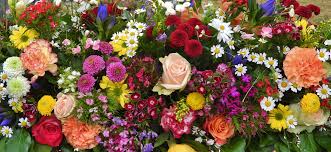 Blumengroßhandel Haßelbeck