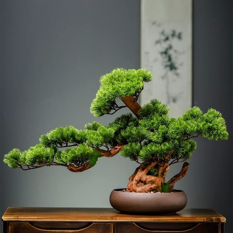 Bonsai