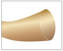 chromic gut 50