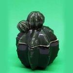 Barattolo in terracotta lucida Cactus linea esotica