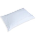 Guanciale in Piume d'Oca