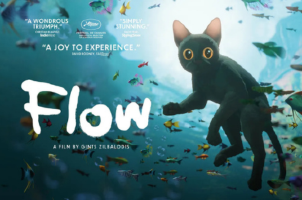 Family Movie Night: Flow | pack snacks